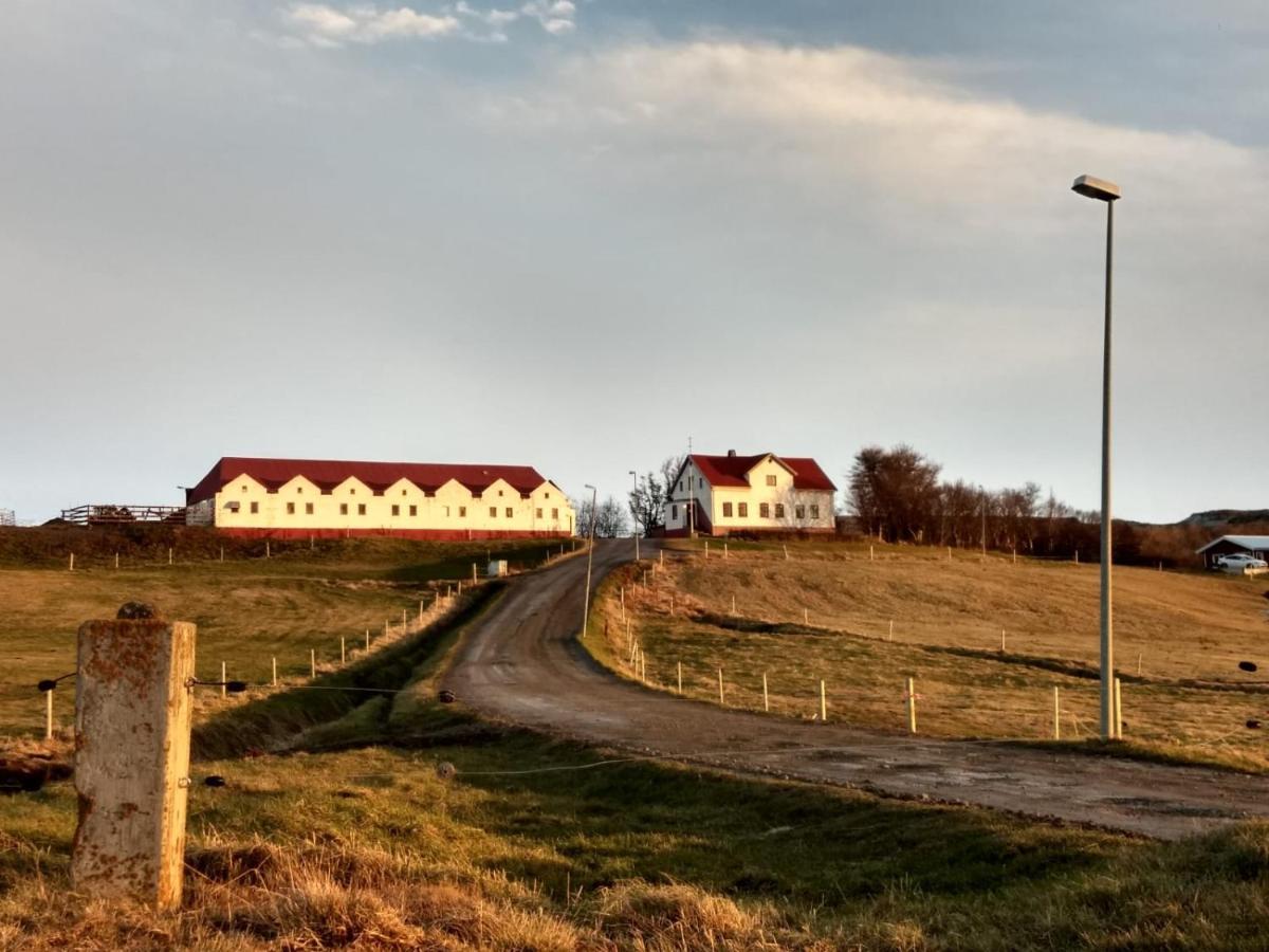 Helluland Guesthouse Saudarkrokur Экстерьер фото