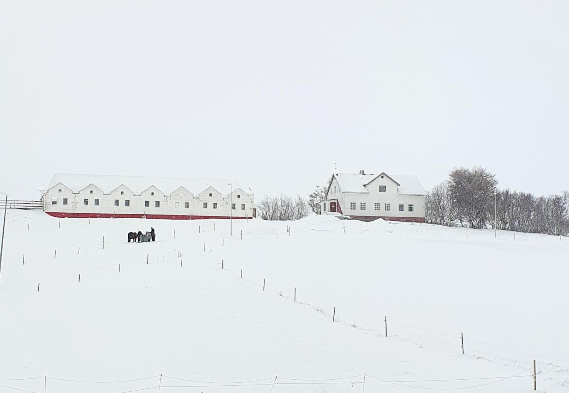 Helluland Guesthouse Saudarkrokur Экстерьер фото